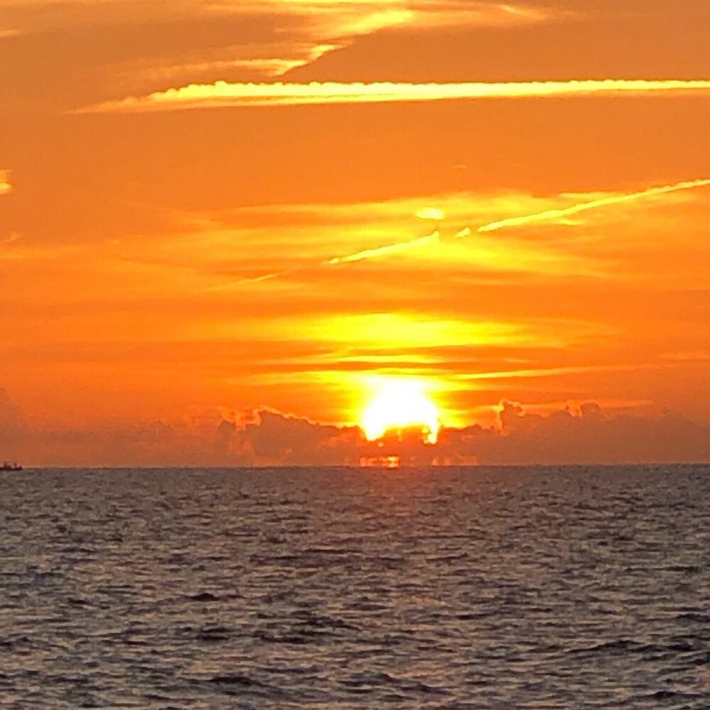 Meet your Posher, Bao